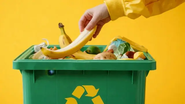 Ernährung & Mobilität: die größten Hebel für deine CO2-Bilanz